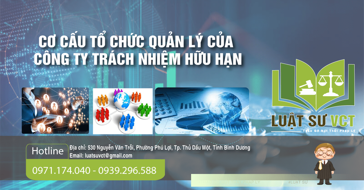 Cơ cấu tổ chức của công tu TNHH
