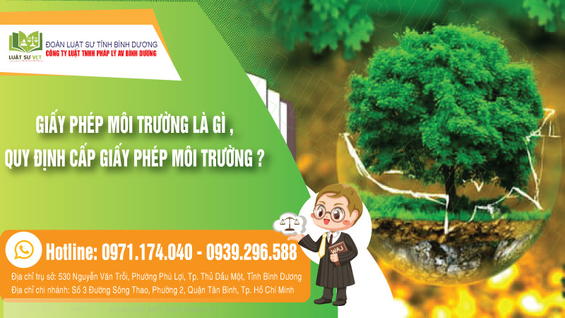Giấy phép môi trường là gì? Quy định cấp giấy phép môi trường?