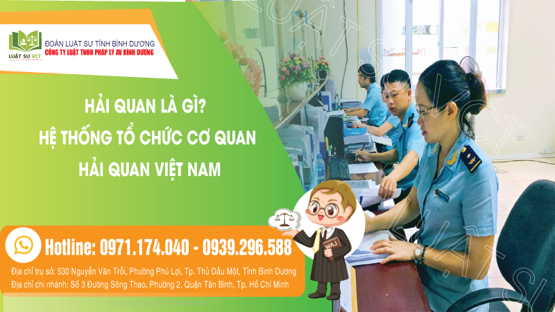 Hải quan là gì? Hệ thống tổ chức của cơ quan hải quan Việt Nam