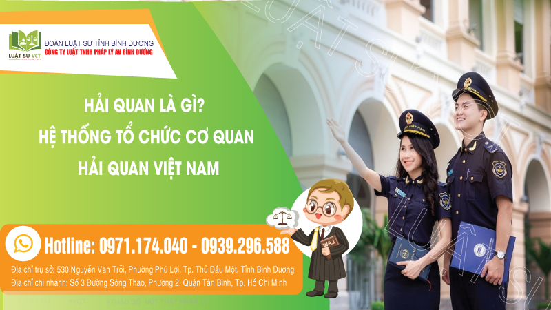Hải quan là gì? Hệ thống tổ chức của cơ quan hải quan Việt Nam